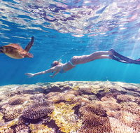 7-Day Exmouth Explorer via Pinnacles Monkey Mia Ningaloo Reef returning to Perth - Winery Find