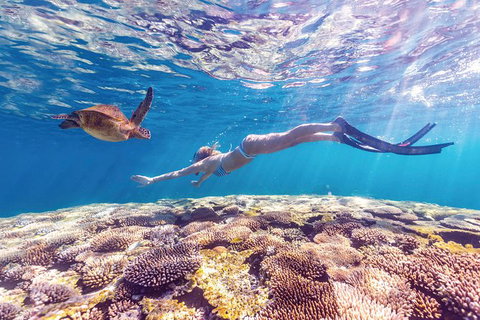 7-Day Exmouth Explorer Via Pinnacles Monkey Mia Ningaloo Reef Returning To Perth - Winery Find 0