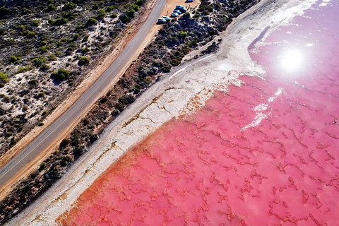 7-Day Exmouth Explorer Via Pinnacles Monkey Mia Ningaloo Reef Returning To Perth - Winery Find 5
