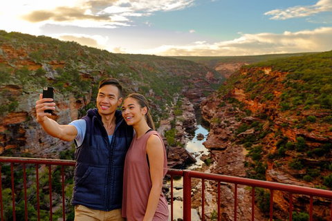 7-Day Exmouth Explorer Via Pinnacles Monkey Mia Ningaloo Reef Returning To Perth - Winery Find 2