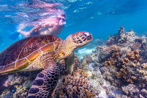 7-Day Exmouth Explorer Via Pinnacles Monkey Mia Ningaloo Reef Returning To Perth - Winery Find 11