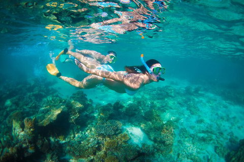 7-Day Exmouth Explorer Via Pinnacles Monkey Mia Ningaloo Reef Returning To Perth - Winery Find 13