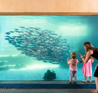 AQWA The Aquarium of Western Australia General Admission - Winery Find