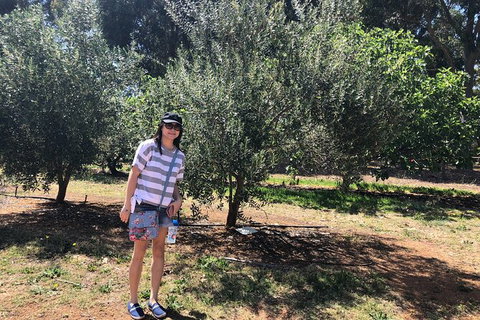 Full-Day Swan Valley, Wildlife Park, Winery & Fruit Orchard - Winery Find 7