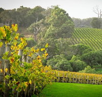 Half-Day Swan Valley  Wildlife Park Tour - Winery Find