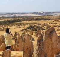 Full-Day Pinnacles Sandboarding and Yanchep National Park from Perth - Winery Find