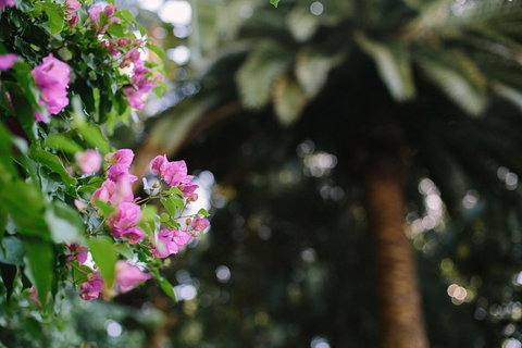 Wanneroo Botanic Gardens: Devonshire Tea And Garden Self Guided Tour - Winery Find 1