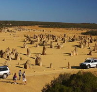 1-Day Pinnacles and Yanchep Tour from Perth including Fish and Chips Lunch - Winery Find