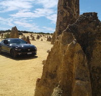 Pinnacles Mustang V8 Full Day including Swan Valley Caversham Wildlife Park - Winery Find