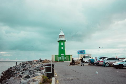 Penguin Island And Fremantle - Canoe, Chocolate & Coffee - Winery Find 1