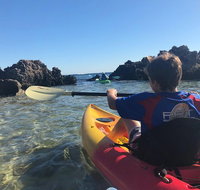 Penguin Island And Fremantle - Canoe Chocolate  Coffee - Winery Find