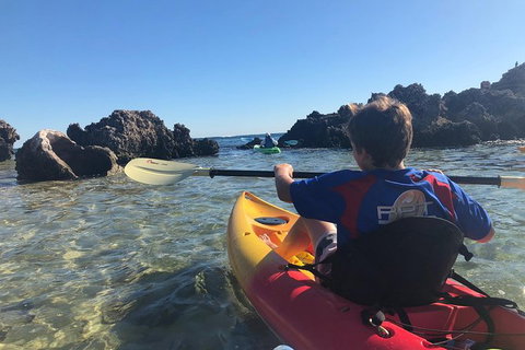 Penguin Island And Fremantle - Canoe, Chocolate & Coffee - Winery Find 0