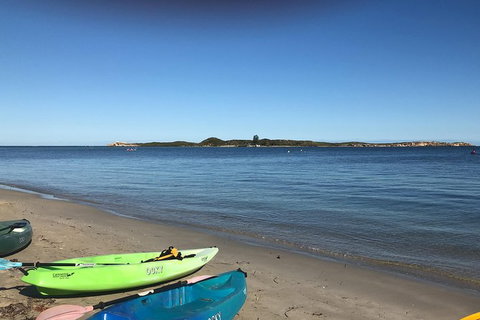 Penguin Island And Fremantle - Canoe, Chocolate & Coffee - Winery Find 4