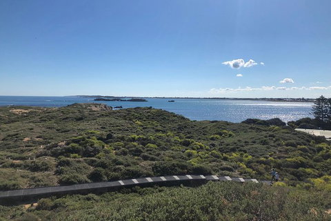 Penguin Island And Fremantle - Canoe, Chocolate & Coffee - Winery Find 12
