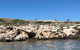 Penguin Island And Fremantle - Canoe, Chocolate & Coffee - thumb 9