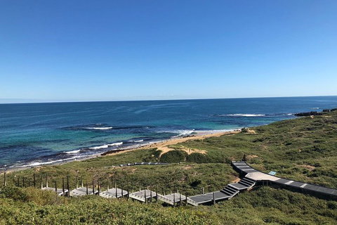 Penguin Island And Fremantle - Canoe, Chocolate & Coffee - Winery Find 3