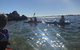 Penguin Island And Fremantle - Canoe, Chocolate & Coffee - thumb 11