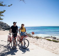 Rottnest Island with Bike Hire from Perth or Fremantle - Winery Find