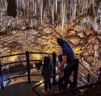 Margaret River and Geographe Bay Region Day Trip from Perth - Winery Find