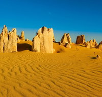 Pinnacles Desert Tour - Winery Find
