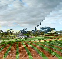 Vasse Felix Winery Tour and Tasting - Winery Find