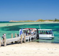 Penguin Island and Caversham Wildlife Park Day Trip From Perth - Winery Find