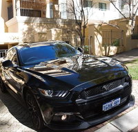 Wineries and Wildlife - With Mustang V8 Fastback - Winery Find