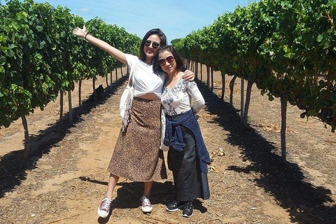 VIP Swan Valley Wine Tour - Premium Small Group Wine & Gourmet Experience - Winery Find 3