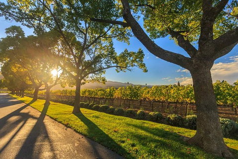 VIP Swan Valley Wine Tour - Premium Small Group Wine & Gourmet Experience - Winery Find 5