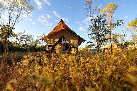 APT Kimberley Wilderness Adventures Purnululu (Bungle Bungle) 4WD Experience - Winery Find 10