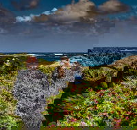 Guided Walks on the Cape to Cape - Wilyabrup Cliffs - Winery Find