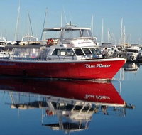Perth Deep Sea Fishing Trip - Winery Find