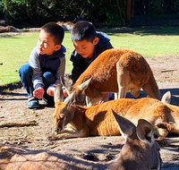 Caversham Wildlife Park Old Guildford Town  Swan Valley Tour - Winery Find