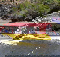 Kalgan Queen Scenic Cruises a four hour sheltered water wildlife tour daily fun. - Winery Find