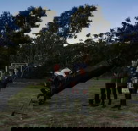 Dusk to Dawn Astronomy Margaret River - Winery Find