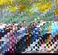 Half Day Gourmet Wine Tour - Winery Find