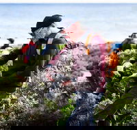 Guided Walks on the Cape to Cape - Redgate Beach to Boranup Forest - Winery Find