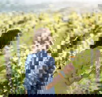 5 Hours Wineries Coffee Tasting Forest  Lunch at the Berry Farm - Winery Find