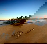 Phillip Island Ultimate Penguin Eco Tour or Skybox Experience - Winery Find