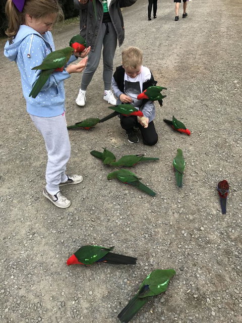 Full-Day Great Ocean Road And 12 Apostles Sunset Tour From Melbourne - Winery Find 11