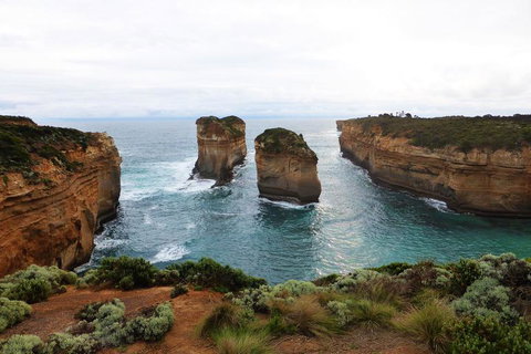 Full-Day Great Ocean Road And 12 Apostles Sunset Tour From Melbourne - Winery Find 17