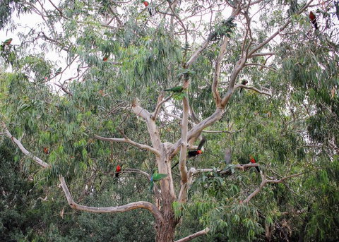 Full-Day Great Ocean Road And 12 Apostles Sunset Tour From Melbourne - Winery Find 19