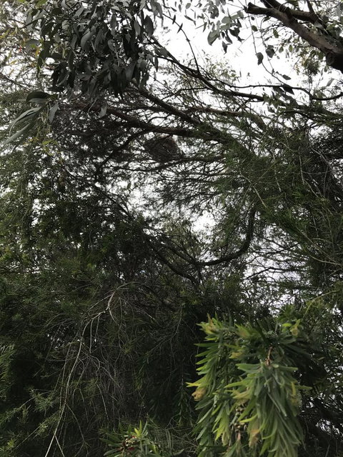 Full-Day Great Ocean Road And 12 Apostles Sunset Tour From Melbourne - Winery Find 10