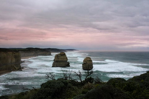 Full-Day Great Ocean Road And 12 Apostles Sunset Tour From Melbourne - Winery Find 25