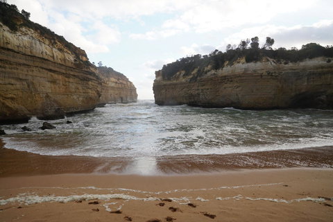 Full-Day Great Ocean Road And 12 Apostles Sunset Tour From Melbourne - Winery Find 5