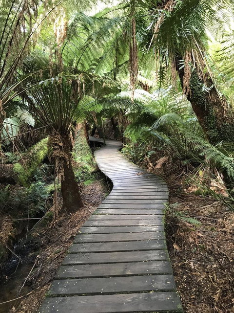 Full-Day Great Ocean Road And 12 Apostles Sunset Tour From Melbourne - Winery Find 8