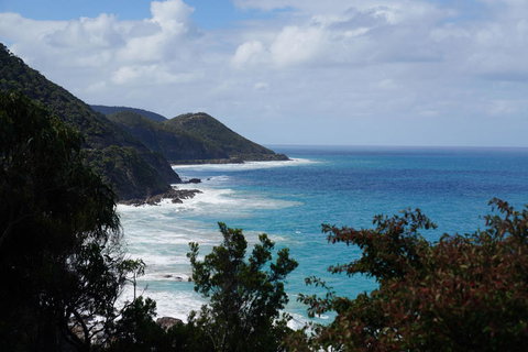 Full-Day Great Ocean Road And 12 Apostles Sunset Tour From Melbourne - Winery Find 4