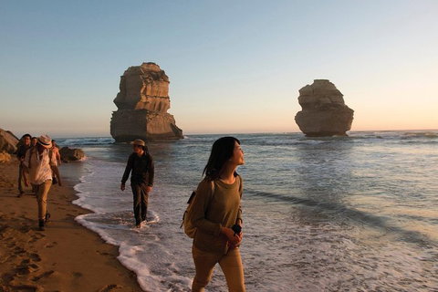 Full-Day Great Ocean Road And 12 Apostles Sunset Tour From Melbourne - Winery Find 28