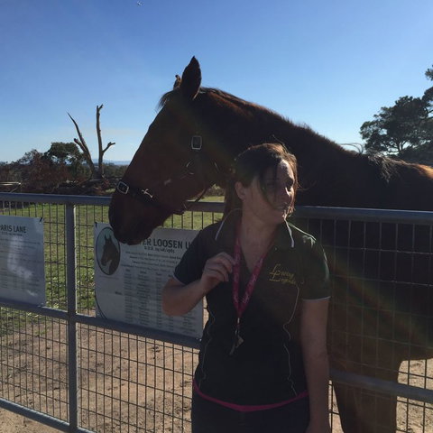 Champion Racehorse Tour With Beer And Wine Tasting - Winery Find 4