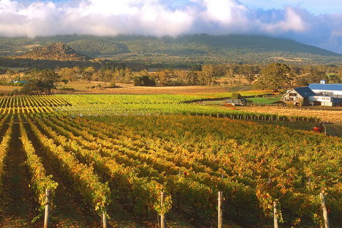 Champion Racehorse Tour With Beer And Wine Tasting - Winery Find 6